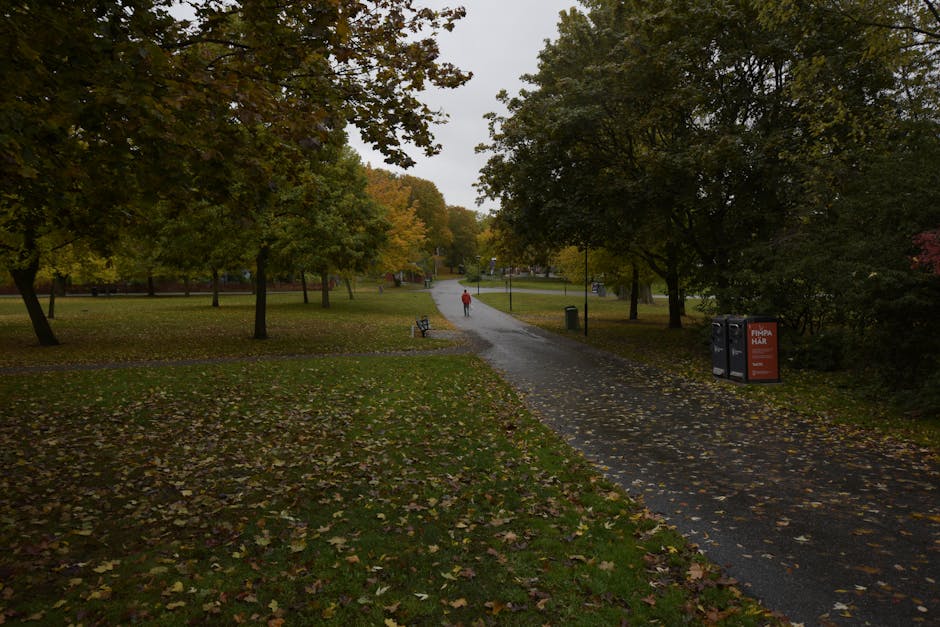 A paved pedestrian pathway in a park during autumn, with overhanging trees bearing green, yellow, and orange leaves. Fallen leaves are scattered across the grass and pathway. In the distance, a person dressed in orange is walking along the path. To the right, there is a black and orange waste disposal bin branded with the logo of a waste management company, situated near the trees and shrubbery. The park has a calm, natural environment with benches visible on the left side of the path and a generally overcast sky providing soft lighting. The scene reflects a typical urban park setting, which may be serviced by independent rubbish collection or private waste disposal services to maintain cleanliness, especially in public areas like this.